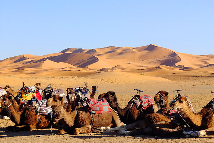 IMTBike Morocco Adventure Motorcycle Tour